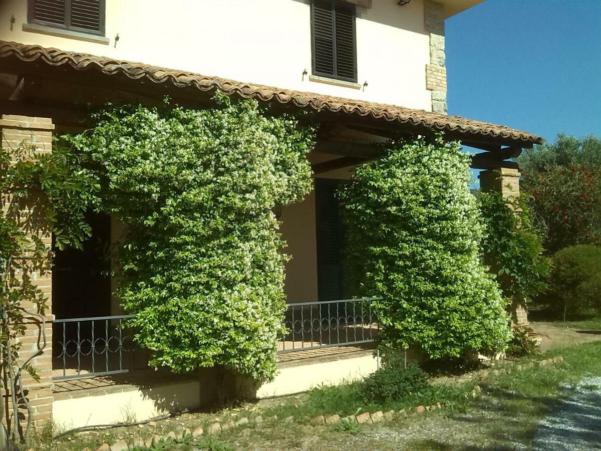 Pathirion B&B Rossano Exterior photo